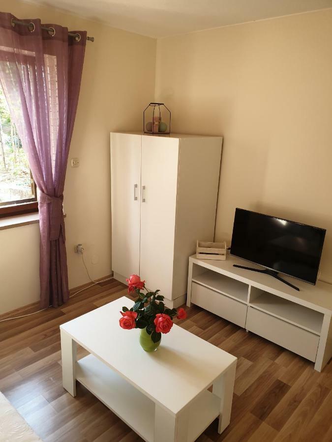 Apartament Studio Airport Dubrovnik Čilipi Zewnętrze zdjęcie